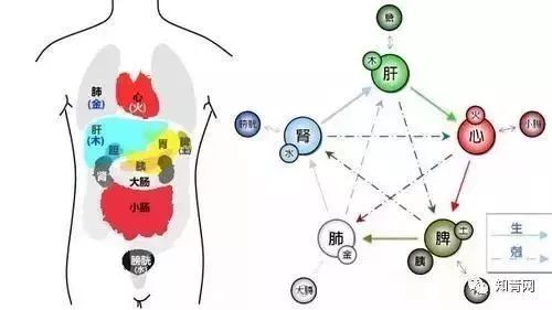 四川庐山地震了吗_四川庐山地震_四川地震庐山地震有人员伤亡吗