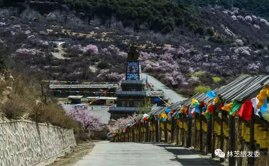 走，去林芝看桃花！ 旅遊 第30張