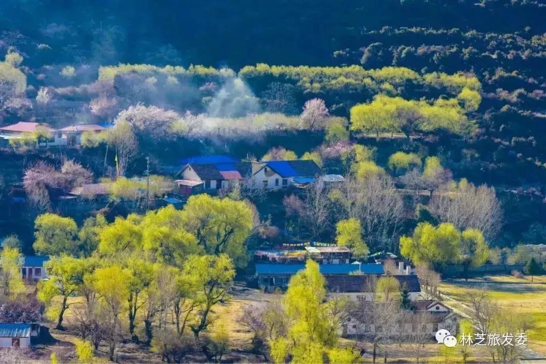 走，去林芝看桃花！ 旅遊 第18張