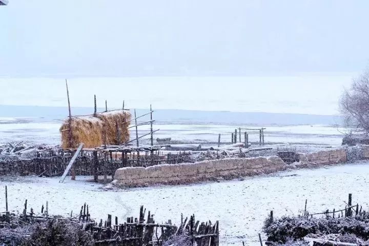 2019年冬遊西藏來了！門票免費！住宿機票減半！ 旅遊 第17張