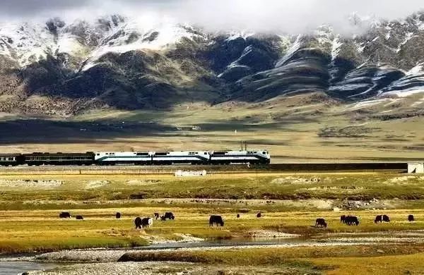 社招1150人！青藏鐵路局招聘公告 未分類 第23張