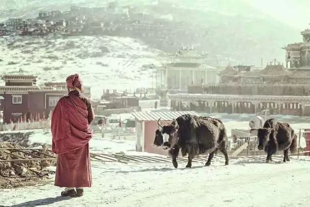 色達，你下雪的樣子真美！ 旅行 第40張