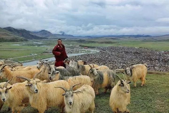 世人皆知色達，卻不識亞青 旅遊 第19張