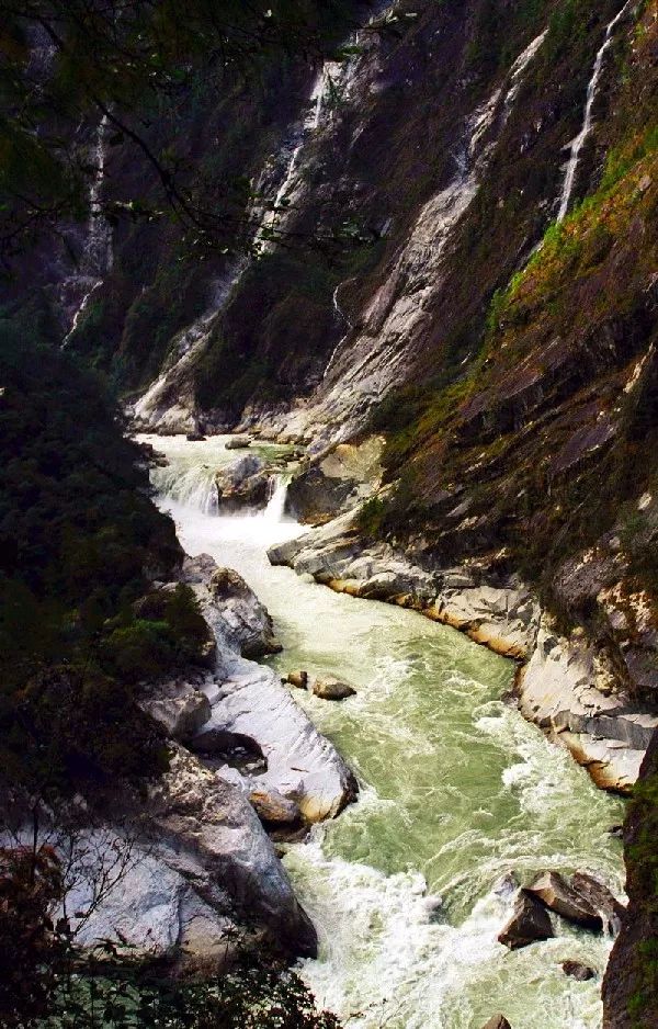 雅魯藏布江大峽谷，正在創建5A景區 旅遊 第7張