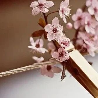 微信上很红的一句话！