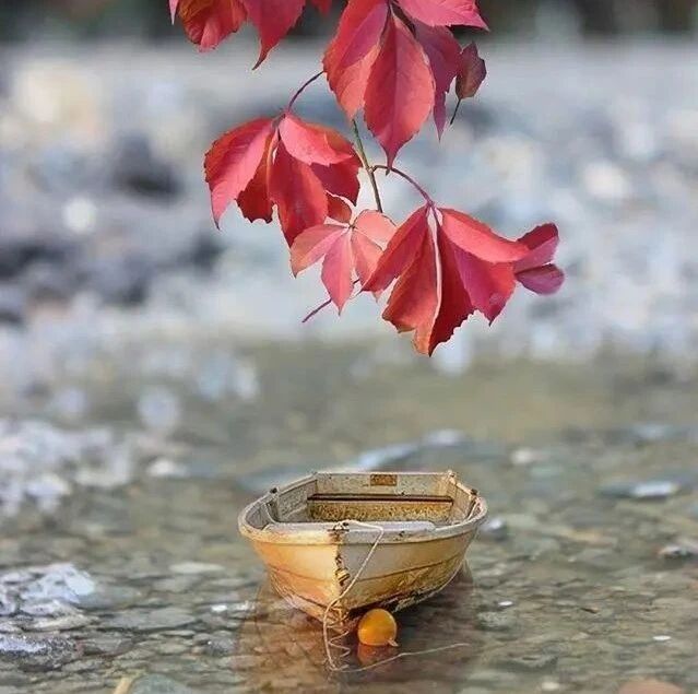 网络最红的人生金句，经典至极，看完大彻大悟！