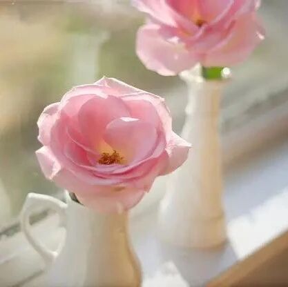 积极向上的正能量励志文案句子