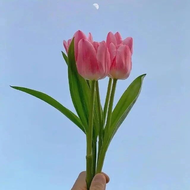 适合早晨发的朋友圈文案，总有一句适合你！