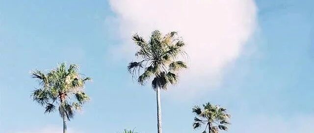 2021微信早安潮流语录，精致唯美，触动心灵！