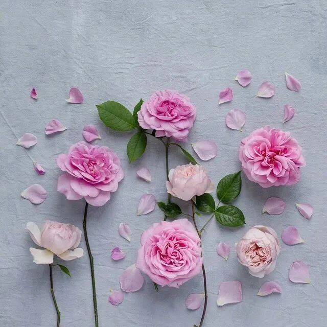 非常好看有创意的早安说说，让人一见倾心！