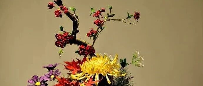 二月发朋友圈的早安语录，每一句都让人陶醉！