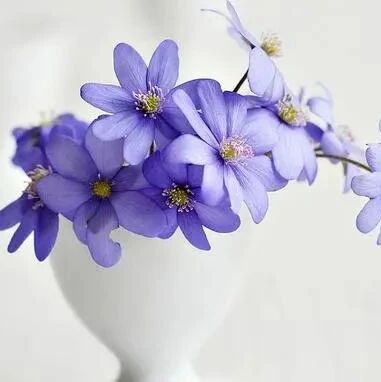 深刻哲理的名人名言，句句都是心灵鸡汤