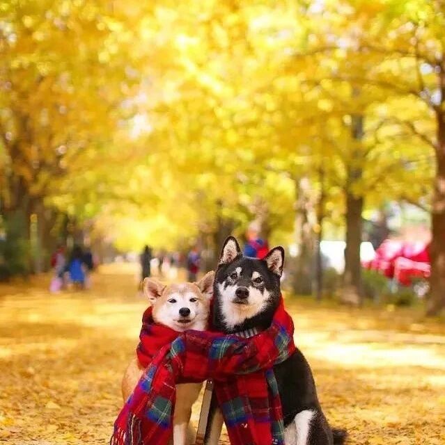 朋友圈干净文艺的早安句子，简短走心，独一无二！