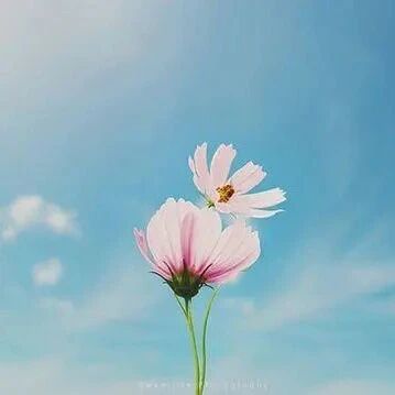 适合发朋友圈的正能量励志短句，句句精辟