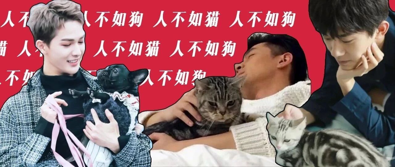 你睡不到的那些明星，它们早就睡腻了