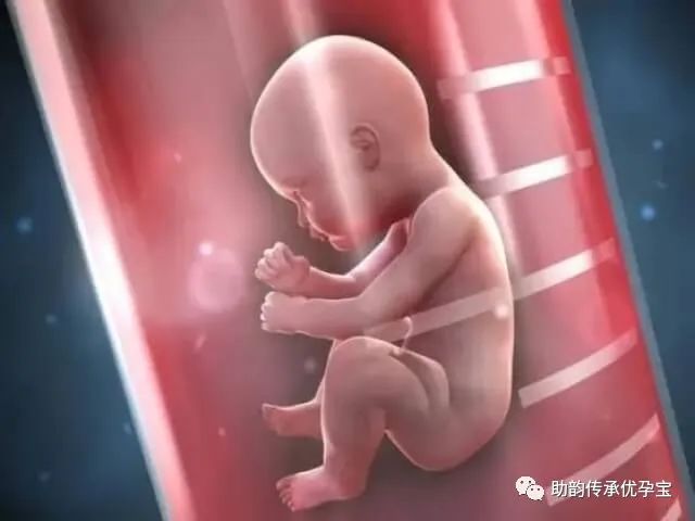 山大生殖一代试管婴儿费用明细_山大生殖试管哪个医生好_山大生殖三代试管大概多少钱