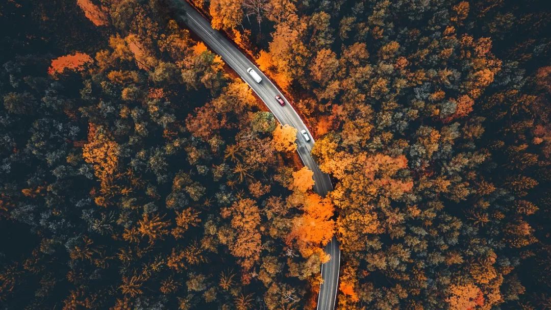 人，一定要懂得拐弯