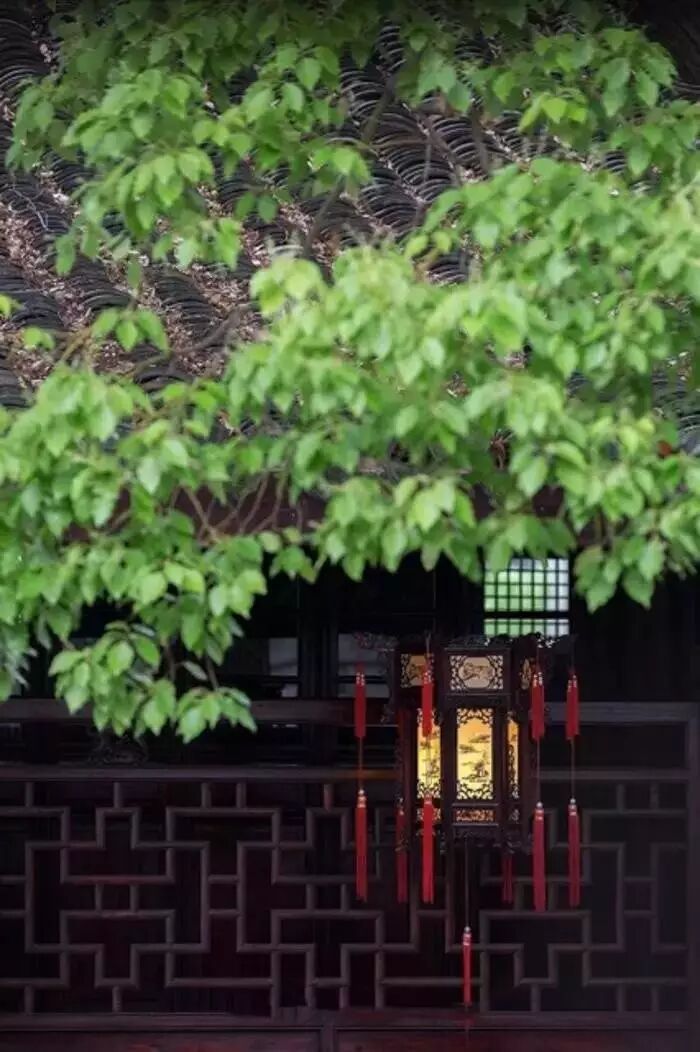 红木家具图片