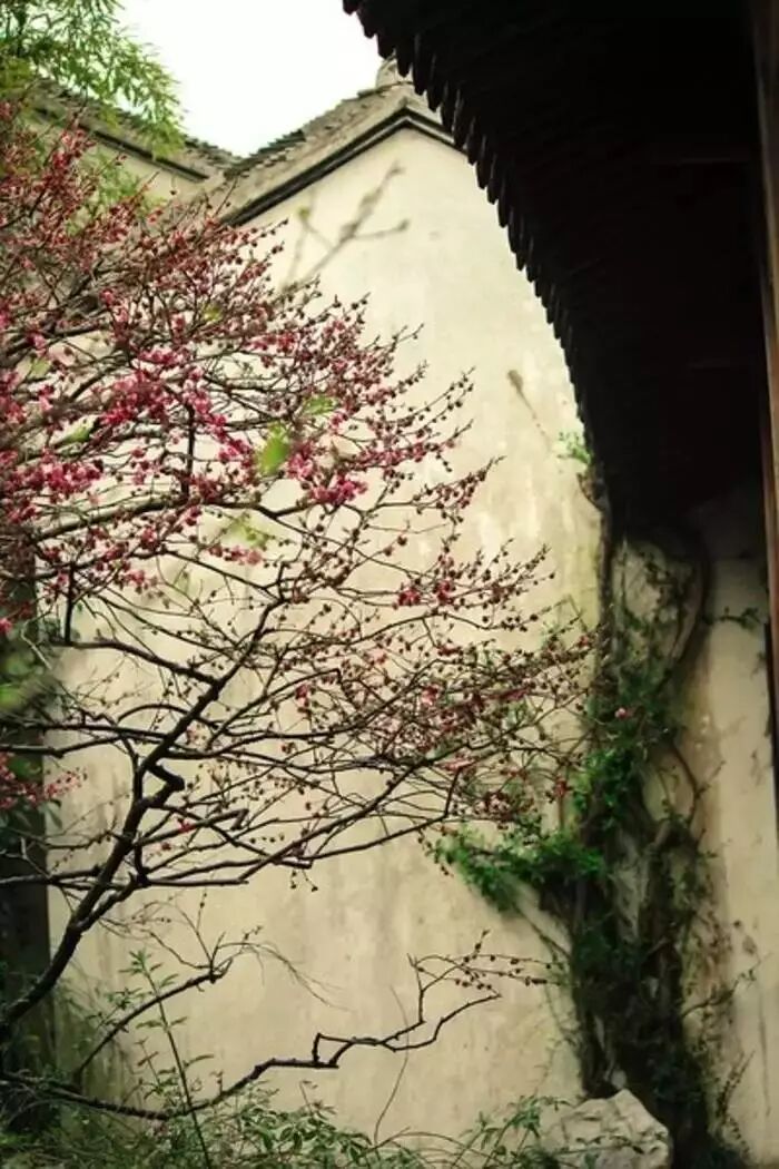 红木家具图片