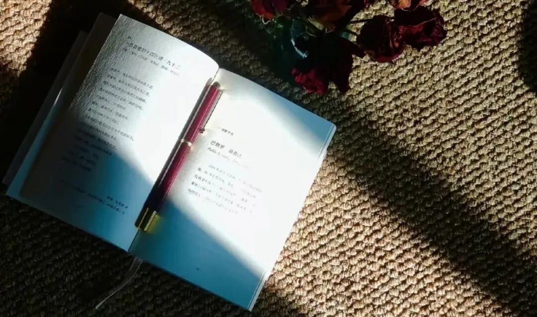 拼多多店铺id在哪里看