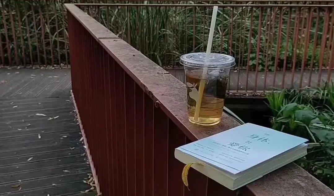 拼多多店铺id在哪里看