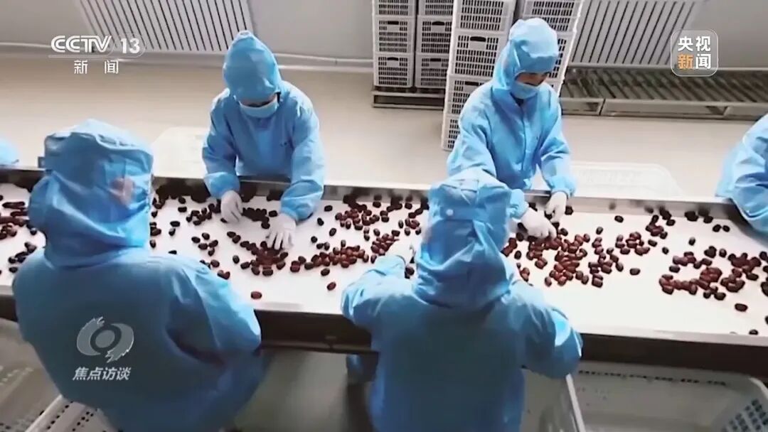 新画卷正在新疆徐徐展开