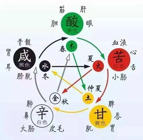 五脏有好恶：肝怕堵，心怕累，脾怕冷……
