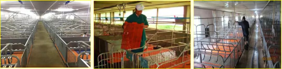 家用雾化机怎么消毒非瘟消毒利器~“五里雾”可移动式弥雾机_https://www.jmylbn.com_新闻资讯_第6张