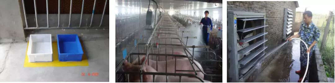 家用雾化机怎么消毒非瘟消毒利器~“五里雾”可移动式弥雾机_https://www.jmylbn.com_新闻资讯_第5张