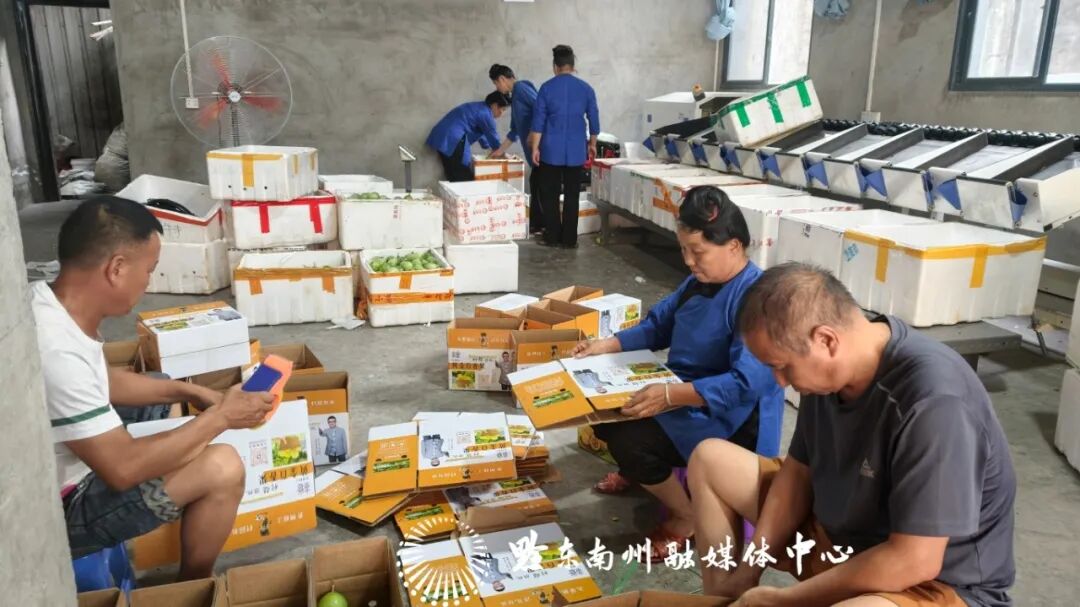 微信图片_20260825115047_294_21.jpg