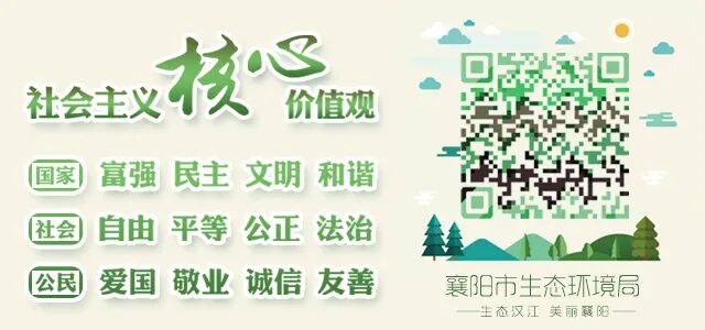 什么口罩防病毒防风防霾防病毒，该选啥子口罩你一定很纠结！_https://www.jmylbn.com_新闻资讯_第41张