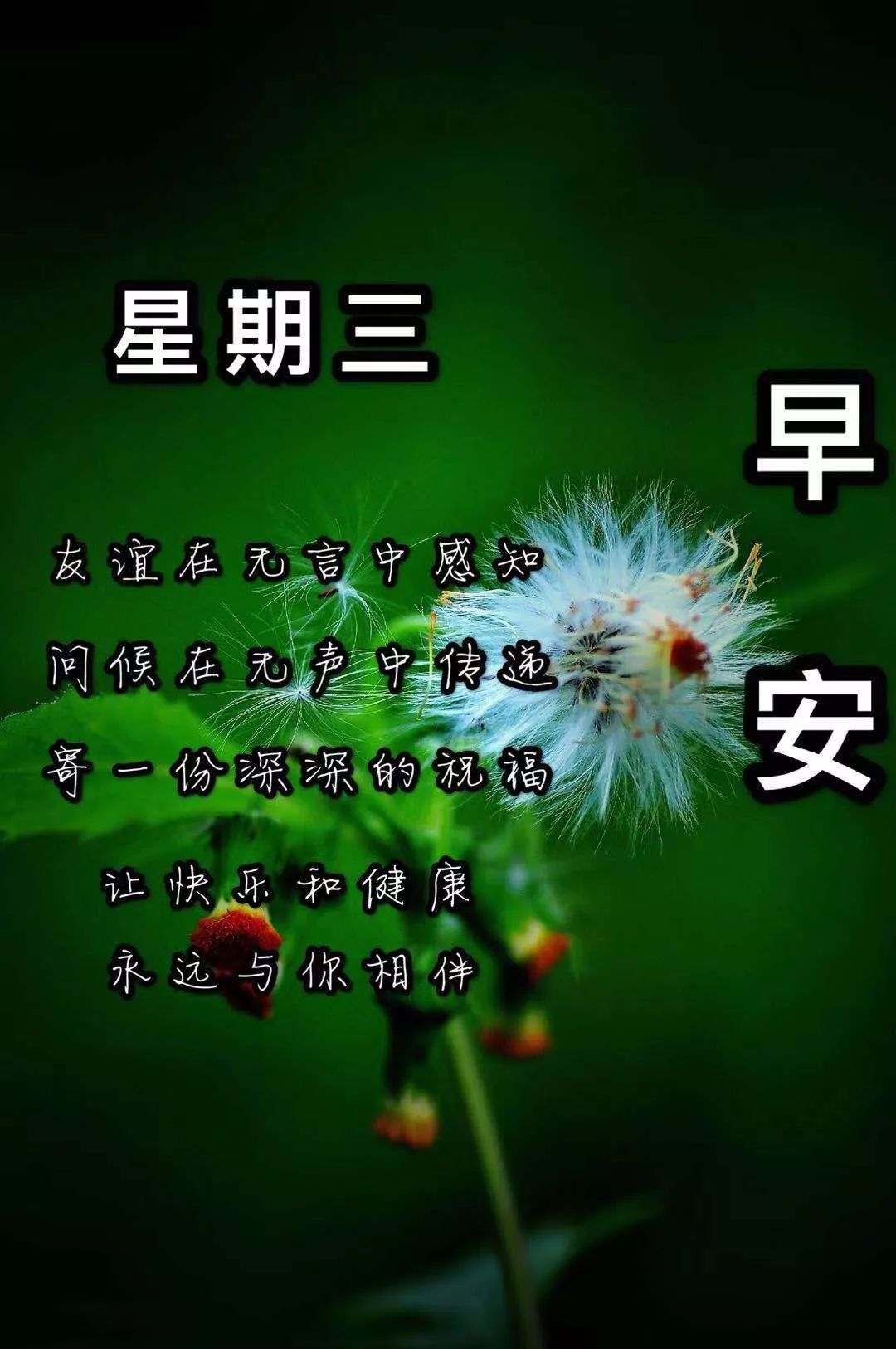 星期三早上好壁纸图片带字带祝福周三早安问候语及关心的话 早安祝福动图 微信公众号文章阅读 Wemp