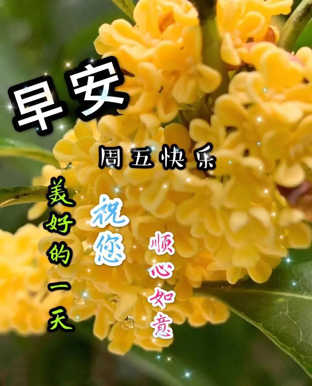 残秋早上好 微信最好看的早安祝福语图片大全 早安心语图片带字 微信公众号文章阅读 Wemp