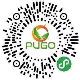 春见（耙耙柑）的起源