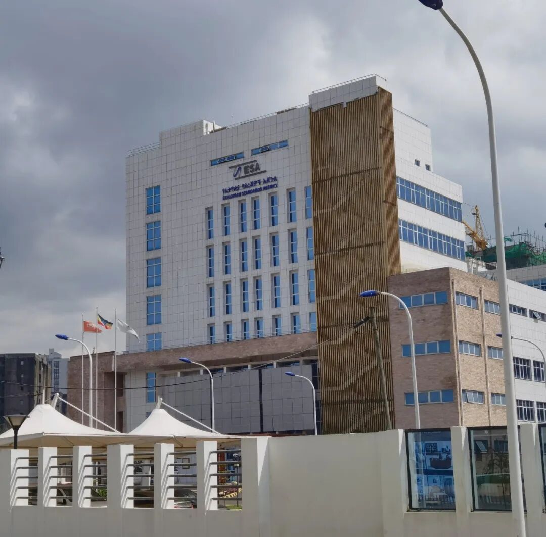 奋进春天里中交一公局集团多个海外项目取得新进展