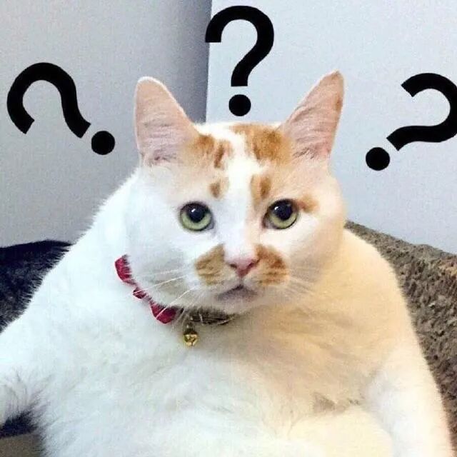 流窜清城清新多地,专挑汽车排气管下手… - 清远市人民政府门户网站