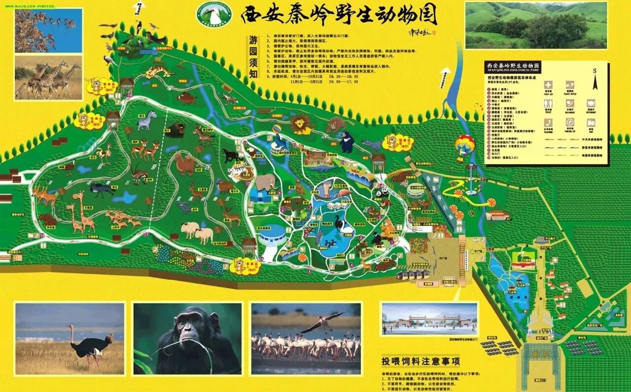 渑池康辉旅行社当中秋遇上国庆我们大手拉小手去秦岭野生动物园吧