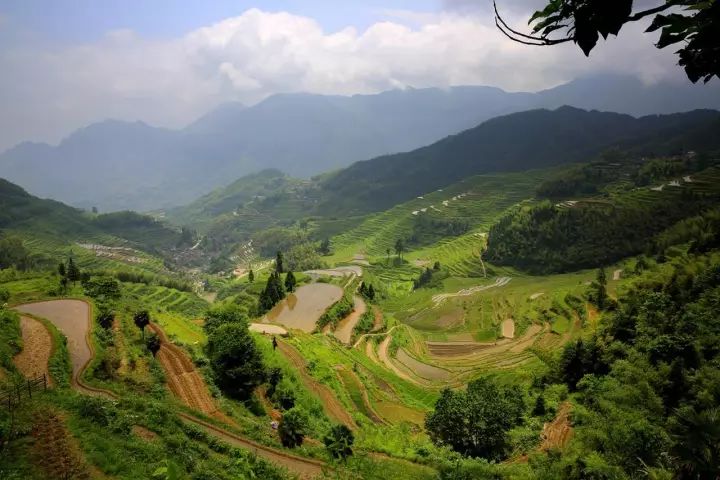 你要是去麗水，記得@我 旅行 第65張