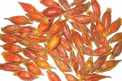 于是给她减少了右佐匹克隆的用量.