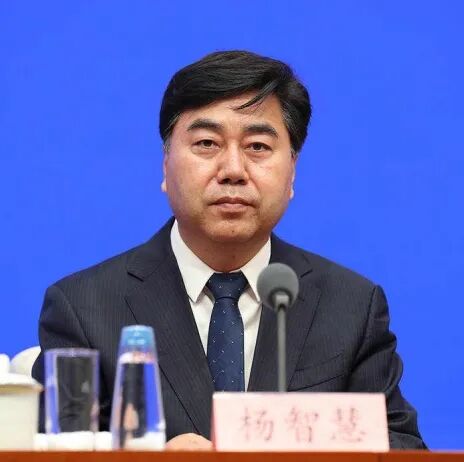 杨智慧.png