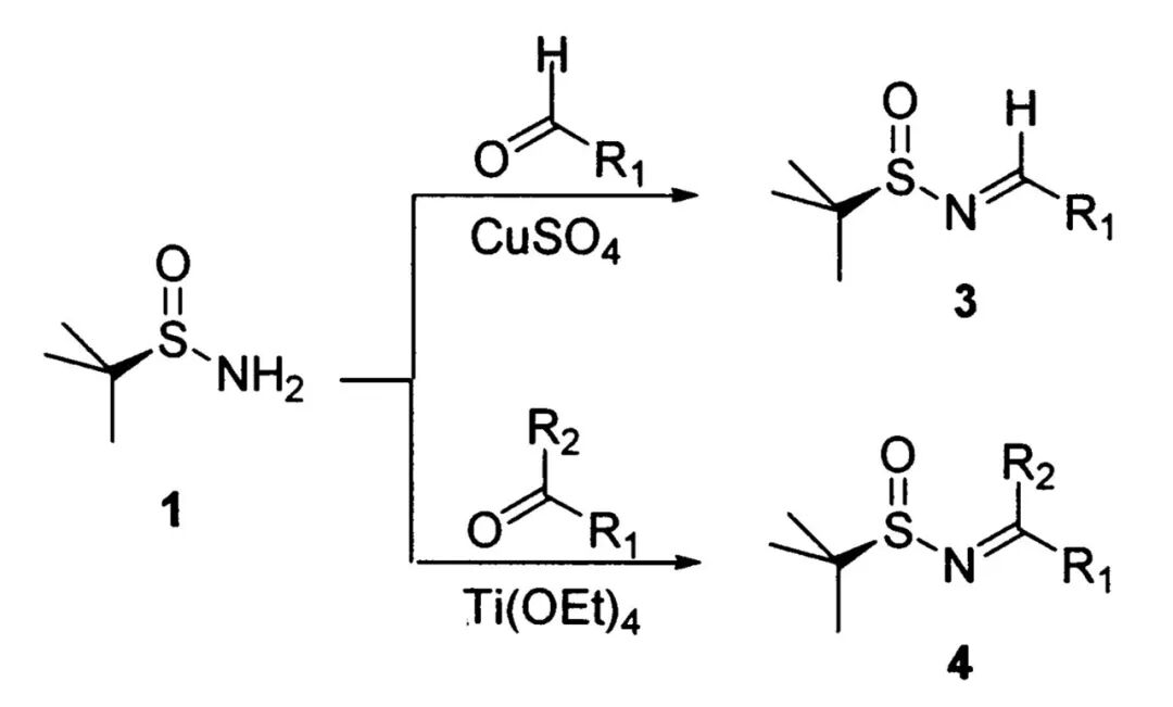 手性叔丁基亚磺酰胺的那些事（二） 第4张