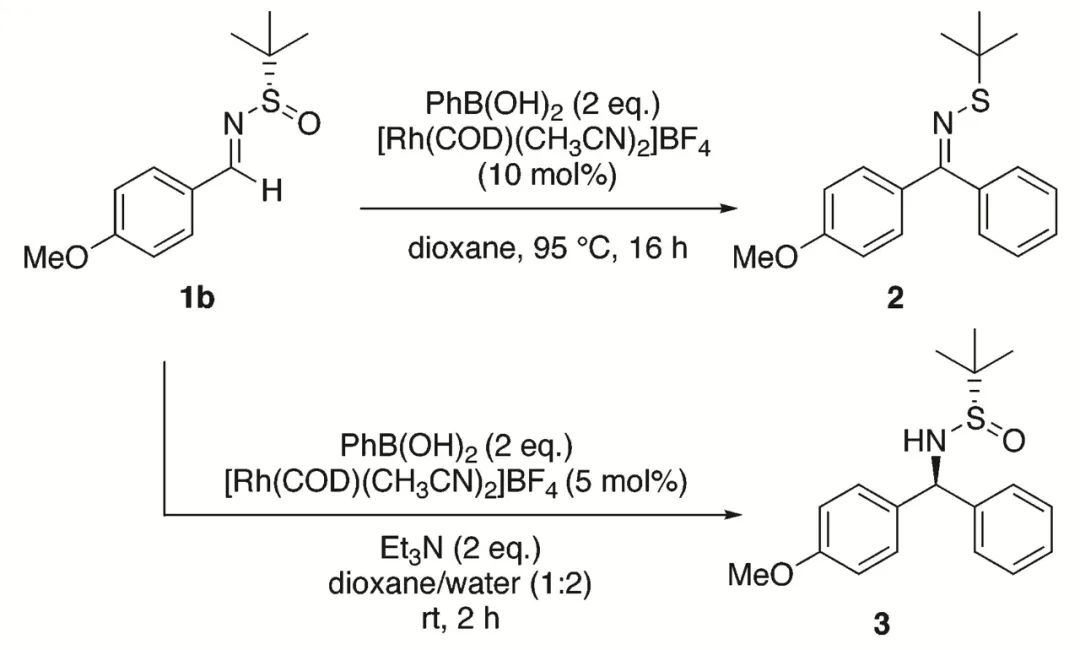 手性叔丁基亚磺酰胺的那些事（三） 第12张