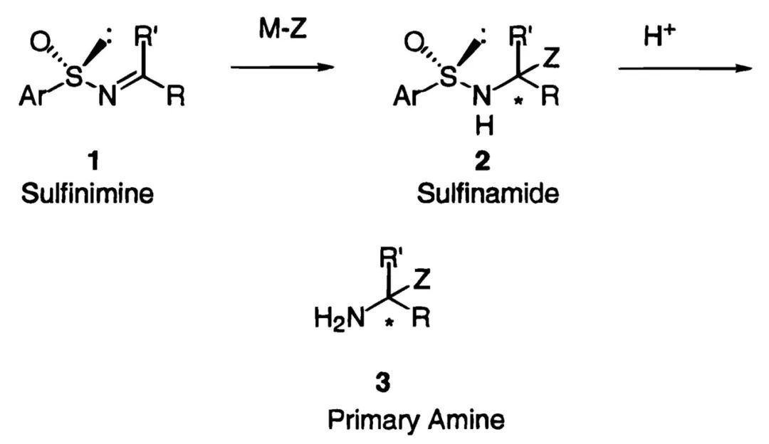 手性叔丁基亚磺酰胺的那些事（一） 第3张