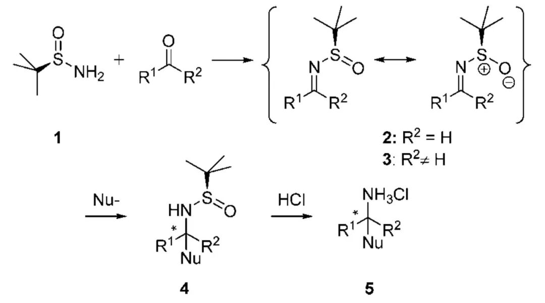 手性叔丁基亚磺酰胺的那些事（一） 第5张