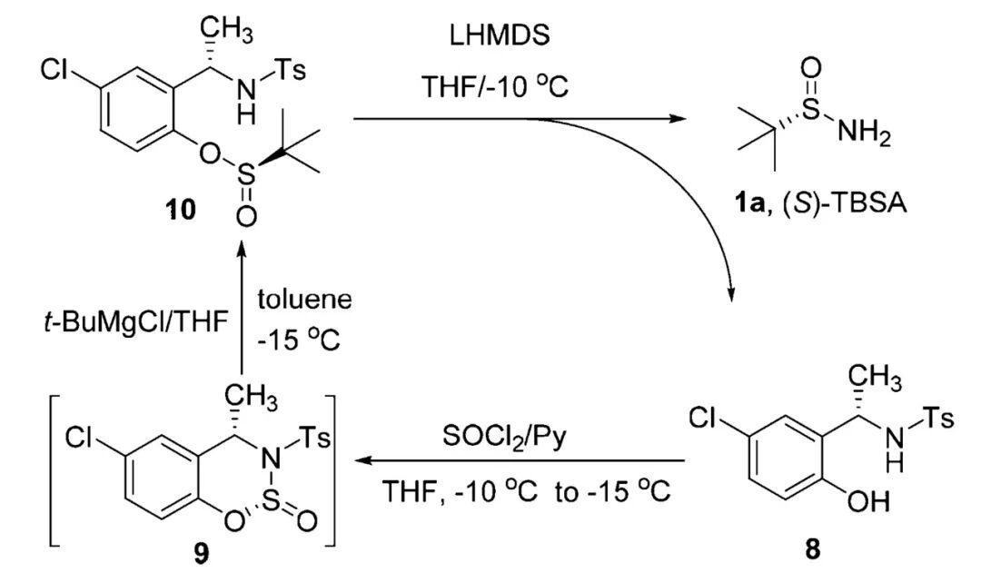 手性叔丁基亚磺酰胺的那些事（一） 第9张