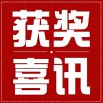 高新区门户网站获评2022年度中国领先政务网站
