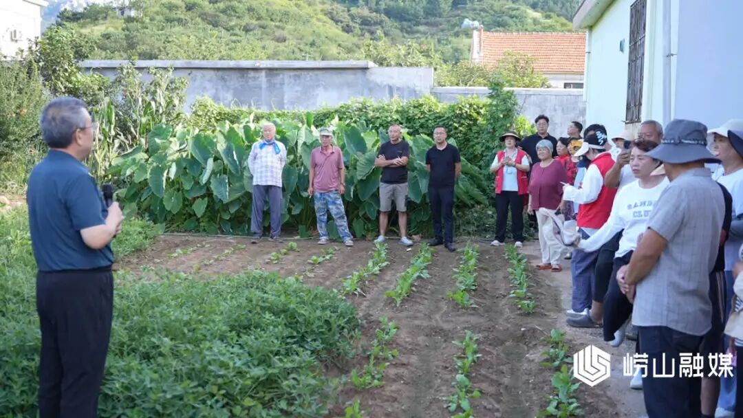 擦亮文明窗口｜崂山区：农技培训赋能农业产业提质增效