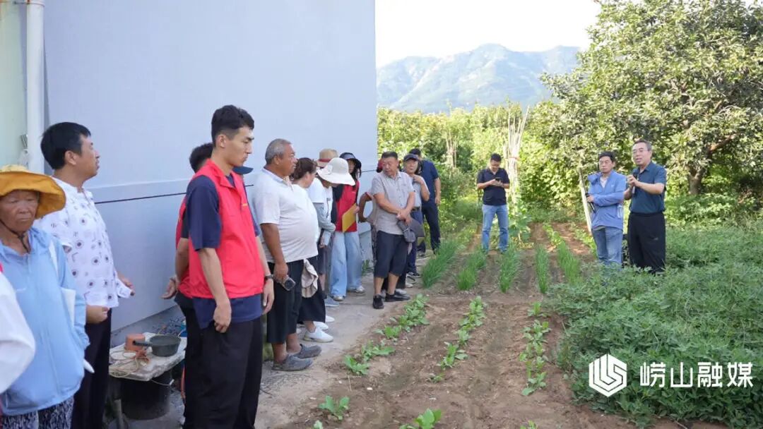 擦亮文明窗口｜崂山区：农技培训赋能农业产业提质增效