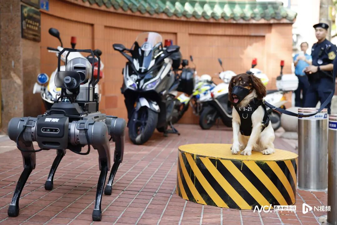 广州市培正中学考点，史宾格警犬和机械警犬护考