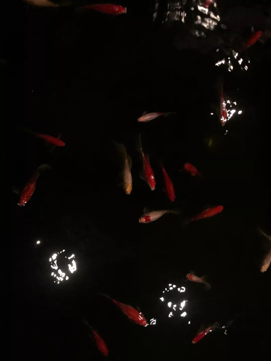 熏依社team Building 濑户内海的七月 熏依社画廊 微信公众号文章阅读 Wemp